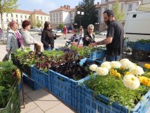 Registrace farmářů a prodejců na červnové trhy spuštěna